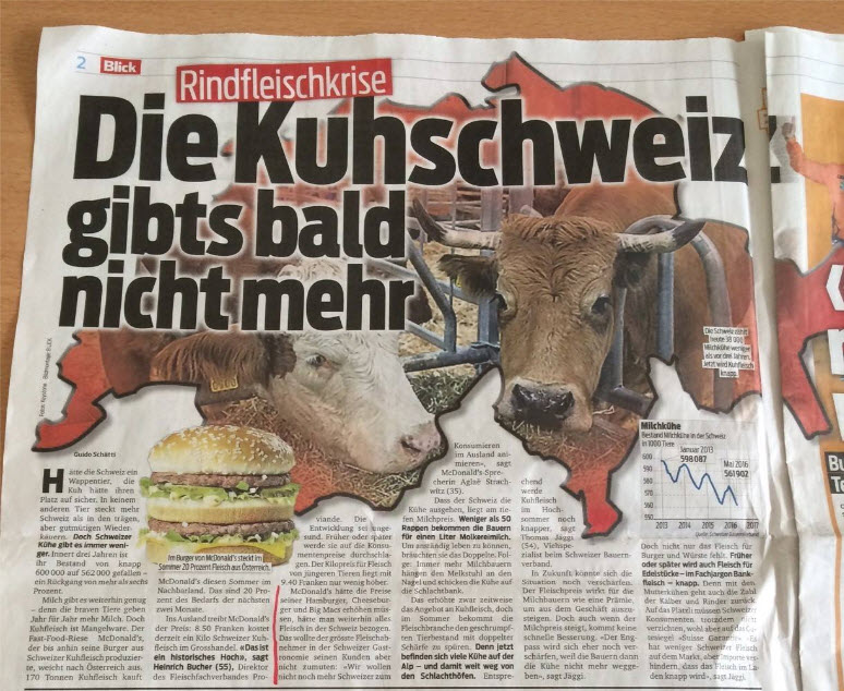 Schweiz-Rinder